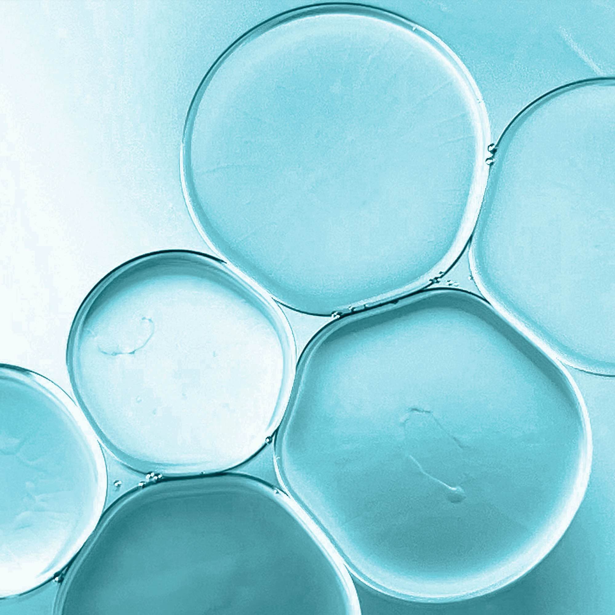 Nahrungsergänzungsmittel Probiotics Revital
